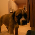 dsc_0177 Hello world.